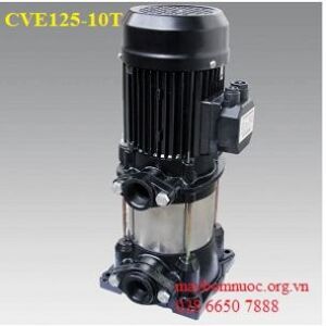 Máy bơm trục đứng Ewara CVE 125-10T 5.5 HP