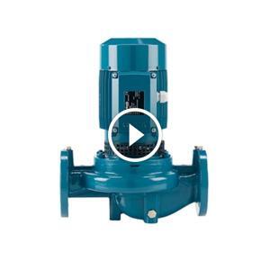 Máy bơm trục đứng inline Calpeda NR 65/200B/B (12.5HP)