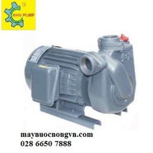 Máy bơm trục ngang đa tầng cánh NTP HTP250-22.2 205 - 3HP