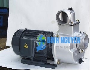 Máy bơm tự hút đầu Inox HSS250-1.75 26 1HP