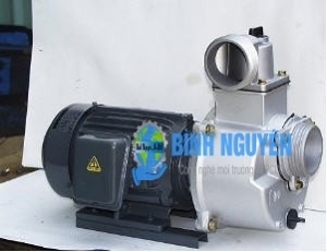 Máy bơm tự hút đầu Inox HSS250-1.75 26 1HP