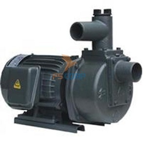 Máy bơm tự hút Gang Nation Pump HSP280-13.7 20