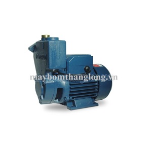 Máy bơm tự hút THT MKS 60-1 - 0.5HP