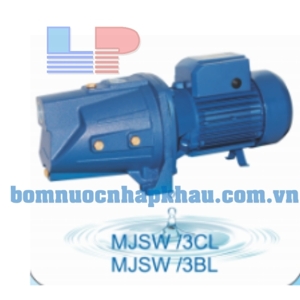 Máy bơm tự mồi đầu Jet Weston MJSW/3CL