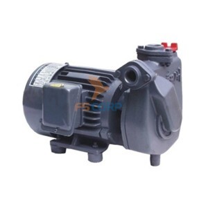 Máy bơm Tubin 3HP HTP250 - 22.2 26