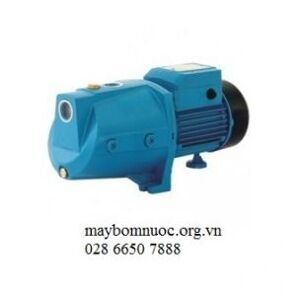 Máy bơm vét nước & đẩy cao 1HP JET100L