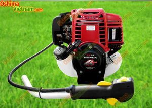 Máy cắt cỏ Honda Dragon GX-35