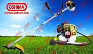 Máy cắt cỏ Oshima Cali 260