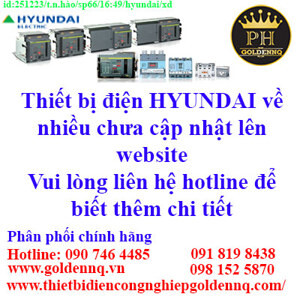 Máy cắt không khí ACB Hyundai HGS08A4BM2C2S251H