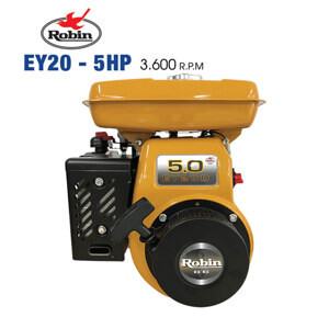 Máy đầm dùi bê tông Robin EY20 - 5HP