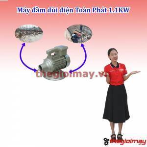 Máy đầm dùi điện Toàn Phát 1,1KW-220V