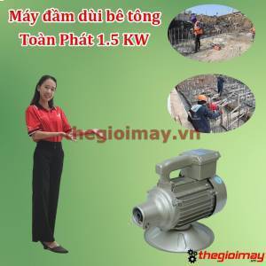 Máy đầm dùi điện Toàn Phát 1,5KW-220V