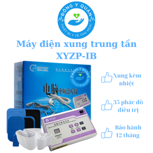 Máy điện xung trung tần Đông Á XYZP-IB