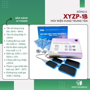 Máy điện xung trung tần Đông Á XYZP-1B