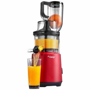 Máy ép chậm Canzy CZ 15YA
