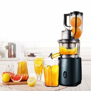 Máy ép chậm Gesun G500