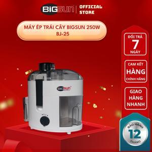 Máy ép trái cây Bigsun BJ25 (BJ-25) - 250W