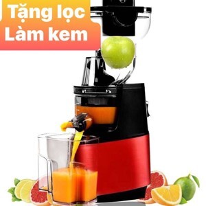 Máy ép trái cây chậm công suất lớn SAVTM JE35