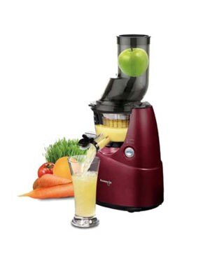 Máy ép trái cây Pensonic PJ-300