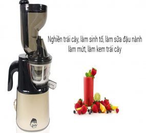 Máy ép trái cây tốc độ chậm miệng rộng Iruka I-52