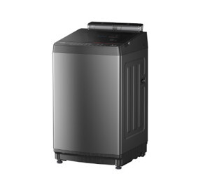 Máy giặt Toshiba Inverter 10 kg AW-DUM1100JV(SG)