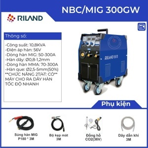 Máy hàn MIG Riland 300GW