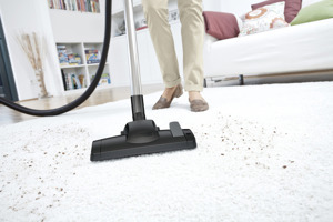 Máy hút bụi Karcher DS 6 *EU