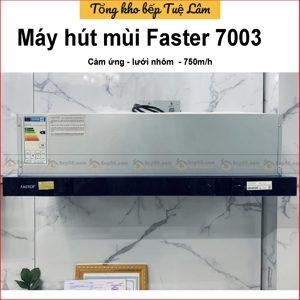 Máy hút mùi Faster FS-7003