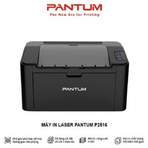 Máy in đơn chức năng Pantum P2516