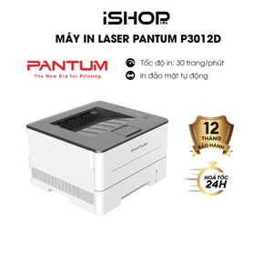 Máy in đơn chức năng Pantum P3012D