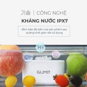 Máy khử khuẩn thực phẩm Gume OWM-01