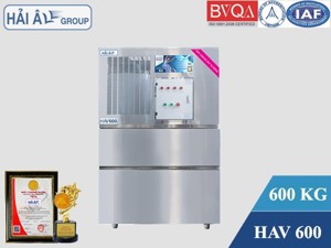 Máy làm đá vảy Hải Âu HAV 600