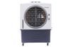 Máy làm mát không khí Honeywell CL40PM - 140W