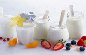 Máy làm sữa chua mini WMF