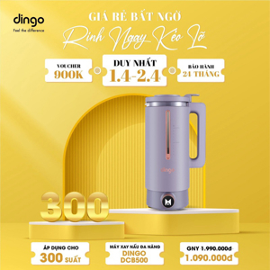 Máy làm sữa hạt Dingo DCB500