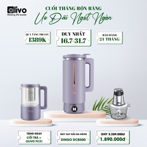 Máy làm sữa hạt Dingo DCB600