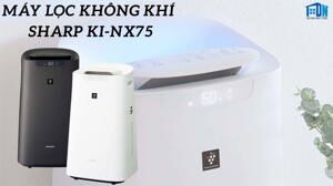 Máy lọc không khí bù ẩm Sharp KI-NX75