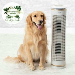 Máy lọc không khí HoMedics AR-29