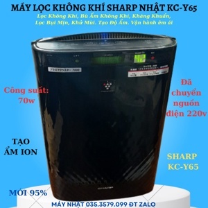 Máy lọc không khí tạo ẩm Sharp KC-Y65