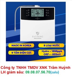 Máy lọc nước điện giải Everking EK-99