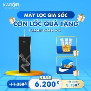 Máy lọc nước nóng lạnh Karofi Livotec 626