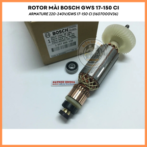 Máy mài góc Bosch GWS 17-150 CI