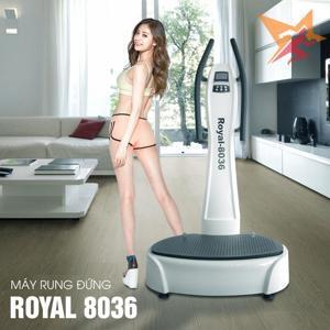 Máy massage rung đứng Royal 8036