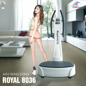 Máy massage rung đứng Royal 8036