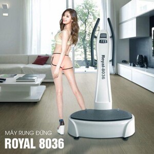 Máy massage rung đứng Royal 8036