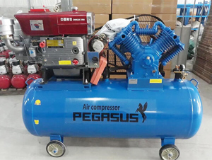 Máy nén khí chạy bằng dầu Diesel Pegasus TM-W-1.6/12.5-500L