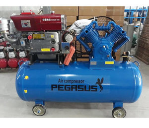 Máy nén khí chạy bằng dầu diesel TM-W-1.0-8-330L