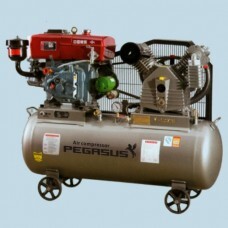 Máy nén khí chạy bằng dầu Diesel TM-W-1.0/8 500L