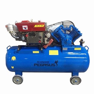 Máy nén khí chạy bằng dầu Diesel TM-W-1.0/8 500L