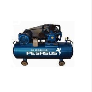 Máy nén khí chạy dầu diesel Pegasus TM-W-1.6/8-500L